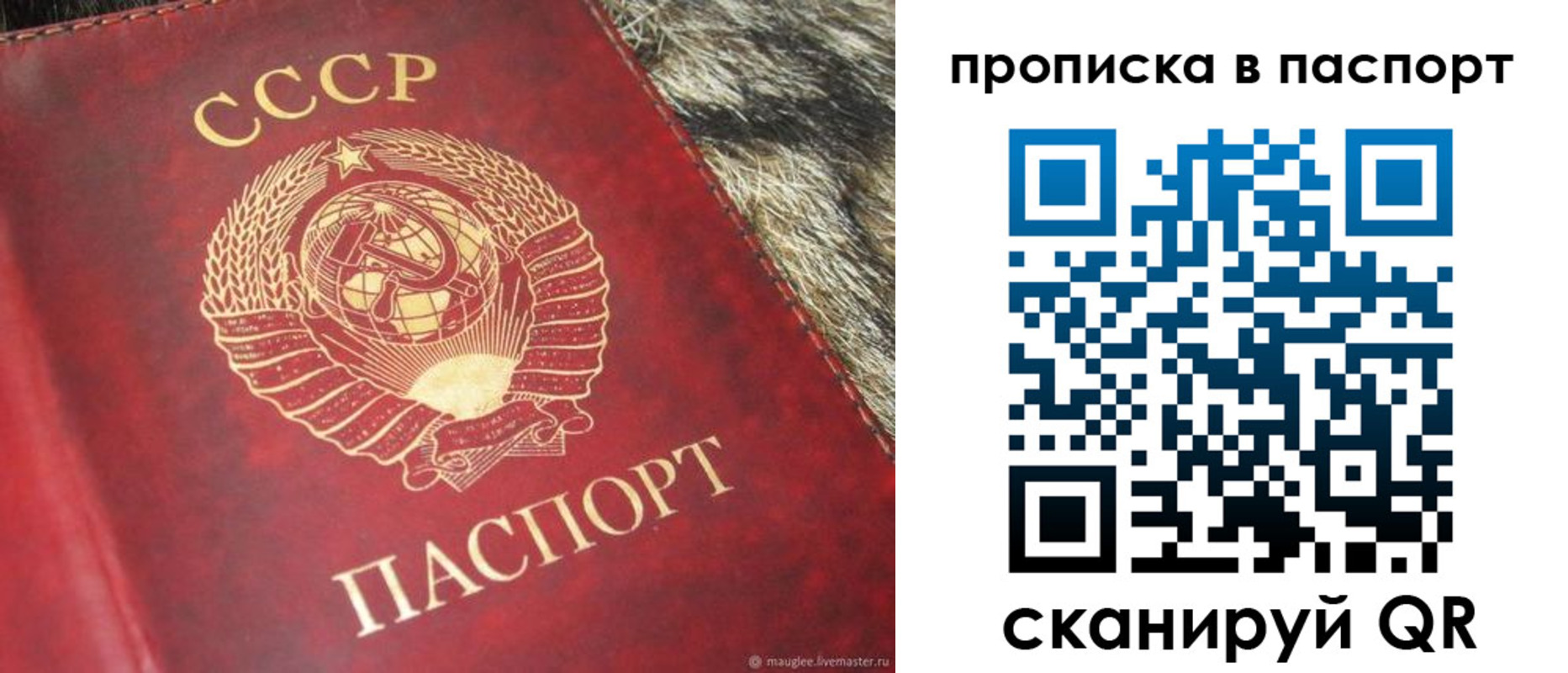 временная регистрация для всех в Новочеркасске